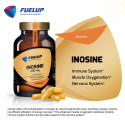 INOSINE 500mg 100 veg caps