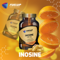 INOSINE 500mg 100 veg caps