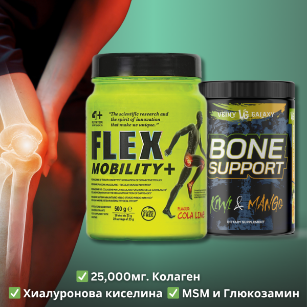 СТАВИ и КОСТИ