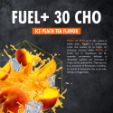 GEL FUEL+ 30 CHO