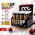 MAGUP™ Liquid Magnesium 250 mg, 25ml > 20x amp.
